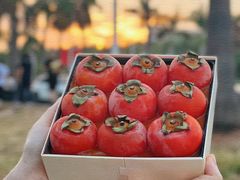 -可丽可丽·生日蛋糕·下午茶(厦门鹭港店)