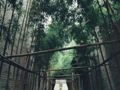 -龙潭水乡
