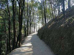 -大尖山公园