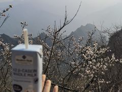 -圣莲山风景区