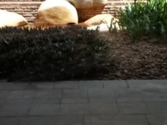 -白云中餐厅·粤菜·亚龙湾喜来登度假酒店