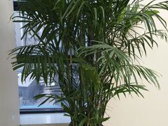 -瑞慈体检沈阳机构