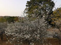 -水濂山水库景点停车场