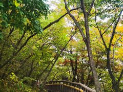 -圣莲山风景区