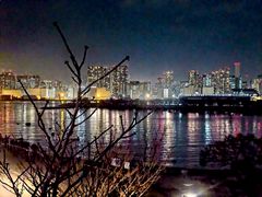 -台场海滨公园船码头