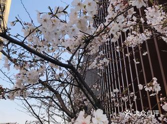 今天上海温度适宜，春暖花开！计划带娃出去遛一圈