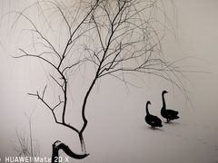 -罗红摄影艺术馆