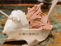 -野人牧坊Gelato(天津南开大悦城店)