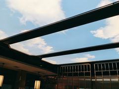 -野妹火锅(龙岗店)