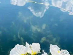 -丽江泸沽湖景区