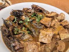 -鸽子窝(青塔店)