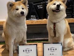 -YCHL Studios健身工作室(市二宫店)