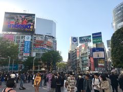 -涩谷全向十字路口