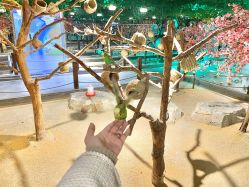 -酷嗒动物文化乐园(cutezoo西溪乐天城店)