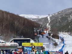 -密苑云顶乐园(云顶滑雪场)