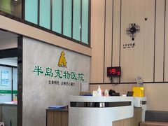 -半岛宠物医院24小时(科华中路店)