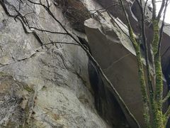 -王顺山国家森林公园
