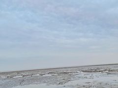 -奉贤海滩