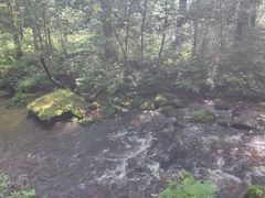 -汤旺河林海奇石景区
