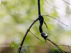 -香山公园
