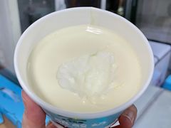 酸奶-正飞鲜奶(南湖一期店)