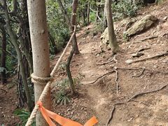 -宝岩生态观光园