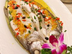 湘江翘白鱼-潇湘·永州会馆(百子湾店)