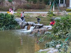 -东莞植物园