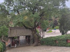 -玉泉观