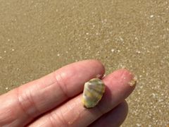 -碧桂园十里银滩