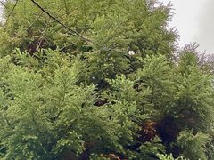 -白塘生态植物园