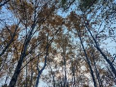 -长春世界雕塑园