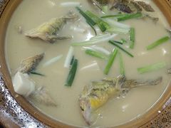 汪刺鱼豆腐汤-水根饭店
