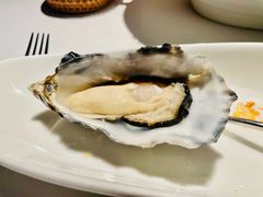 精选法国生蚝-Oyster Talks 四度蚝法餐厅