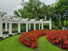-新虹桥中心花园