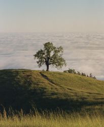 -拾尚映画·STUDIO婚纱摄影(中关村店)