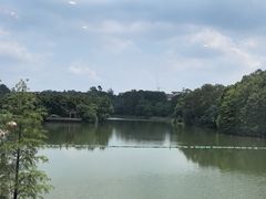 -鹿鸣酒家(越秀店)