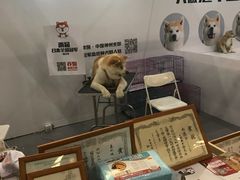 -东浩兰生上海世博展览馆