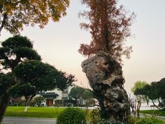 -杭州西湖柳莺里酒店·闻莺厅