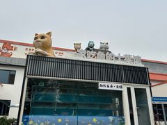 -向外鱼乐·土菜·虹鳟鱼