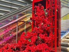 -万科生活广场(东莞松山湖店)