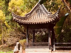 -深圳国际园林花卉博览园