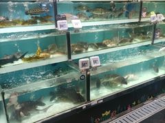 -盒马鲜生(顺义店)