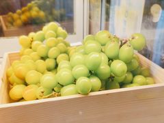 -茶百道(铜梁万达广场店)