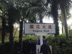 -武汉大学-樱园