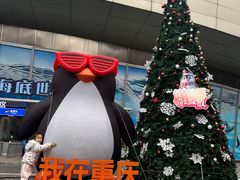 -重庆欢乐海底世界
