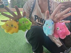 -秦皇岛乐岛海洋王国