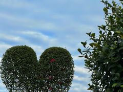 -东莞植物园