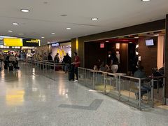 -约翰·菲茨杰拉德·肯尼迪国际机场