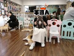 -柯斗斗主题餐厅·狗咖·围炉煮茶·茶饮(国瑞升平里店)